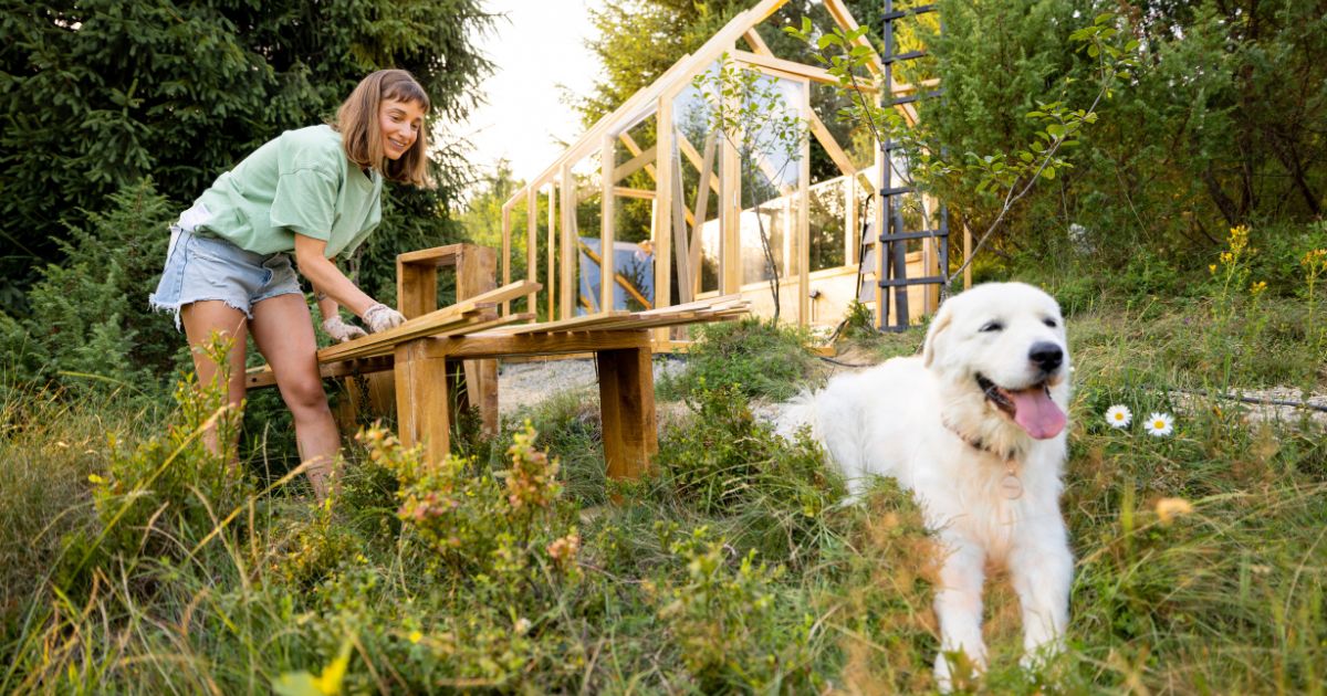 Young woman working with wood planks in her backyard with her large dog.