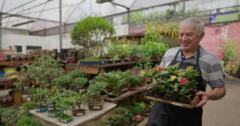 Older man smiling while working in a garden center and holding a tray of flowers.